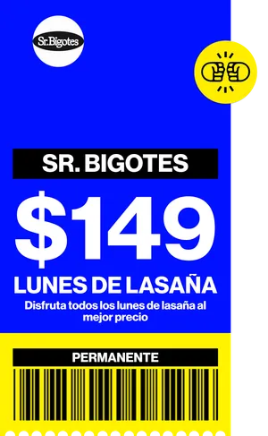 SR. BIGOTES