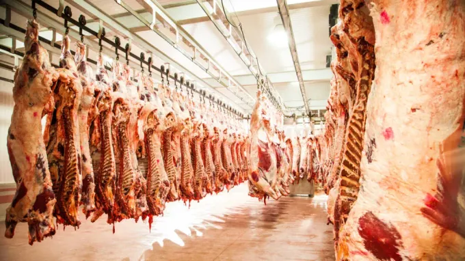 Arrachera, rib eye y más: sabores que perduran